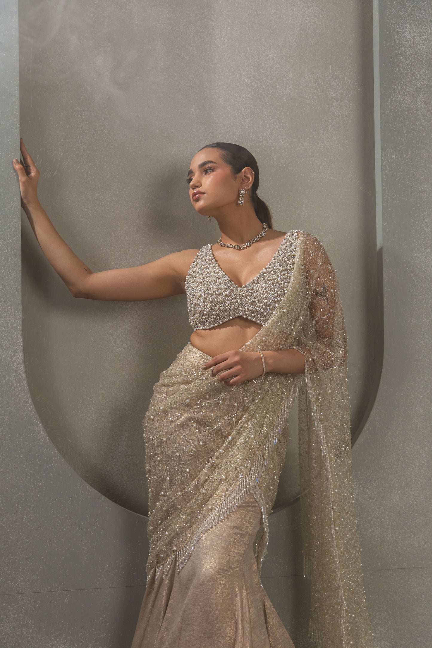 Heavy Jaal Embroidred Palla with Pearl Blouse