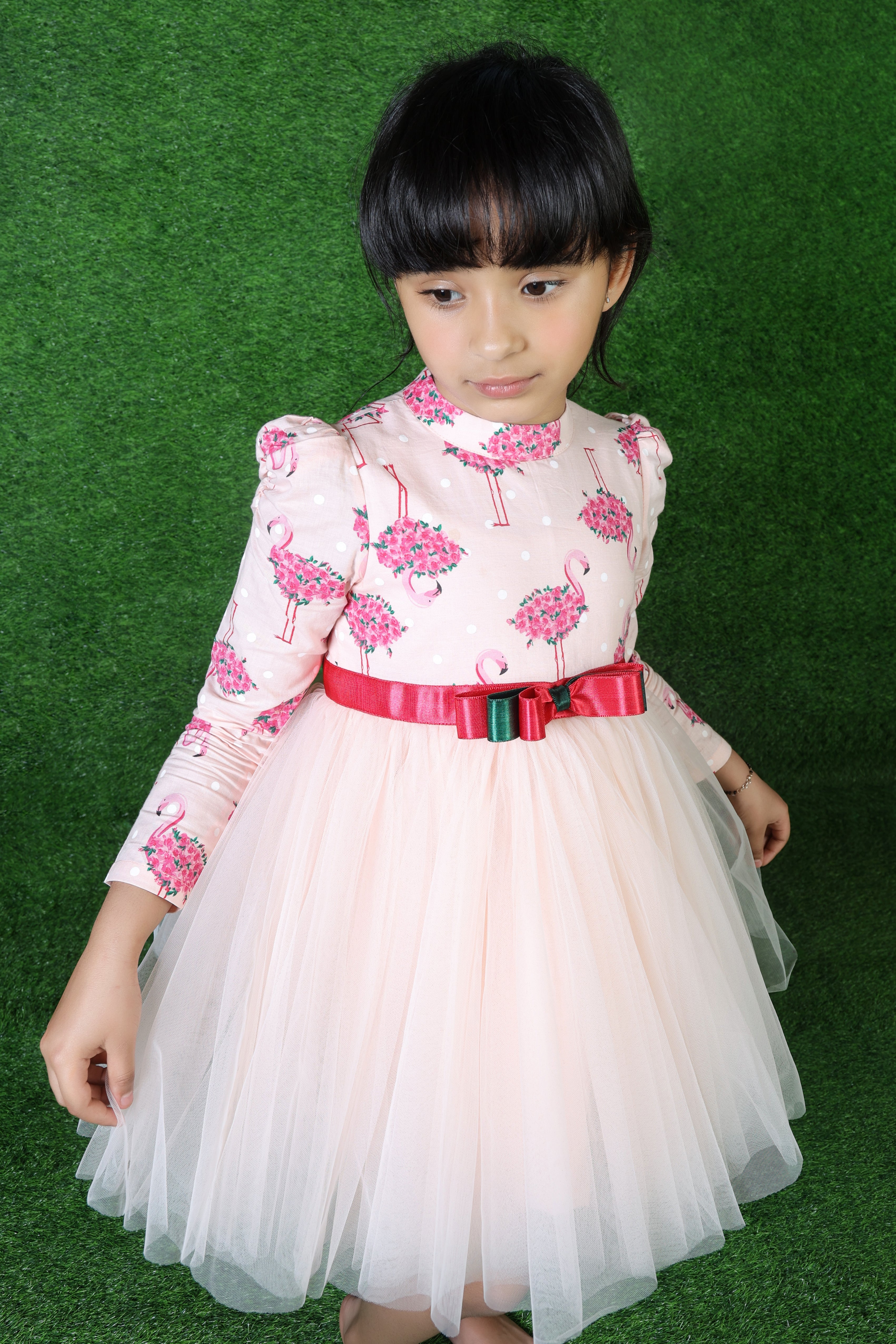 Flamenco - The Pony & Peony Co.