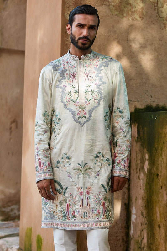 Silver Tissue Embroidered Kurta Set