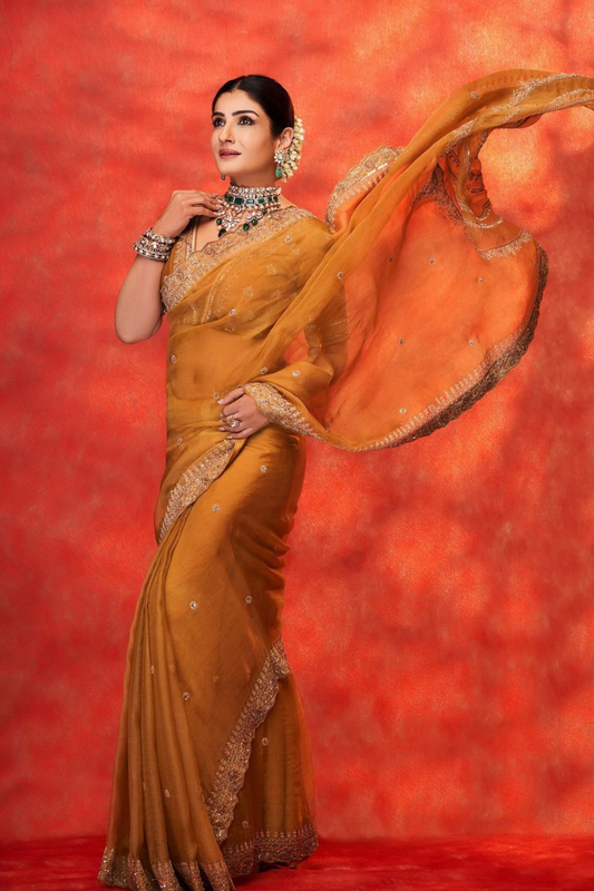 Raveena Tandon in Zara Saree