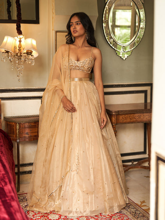 Golddust Organza Lehenga Set