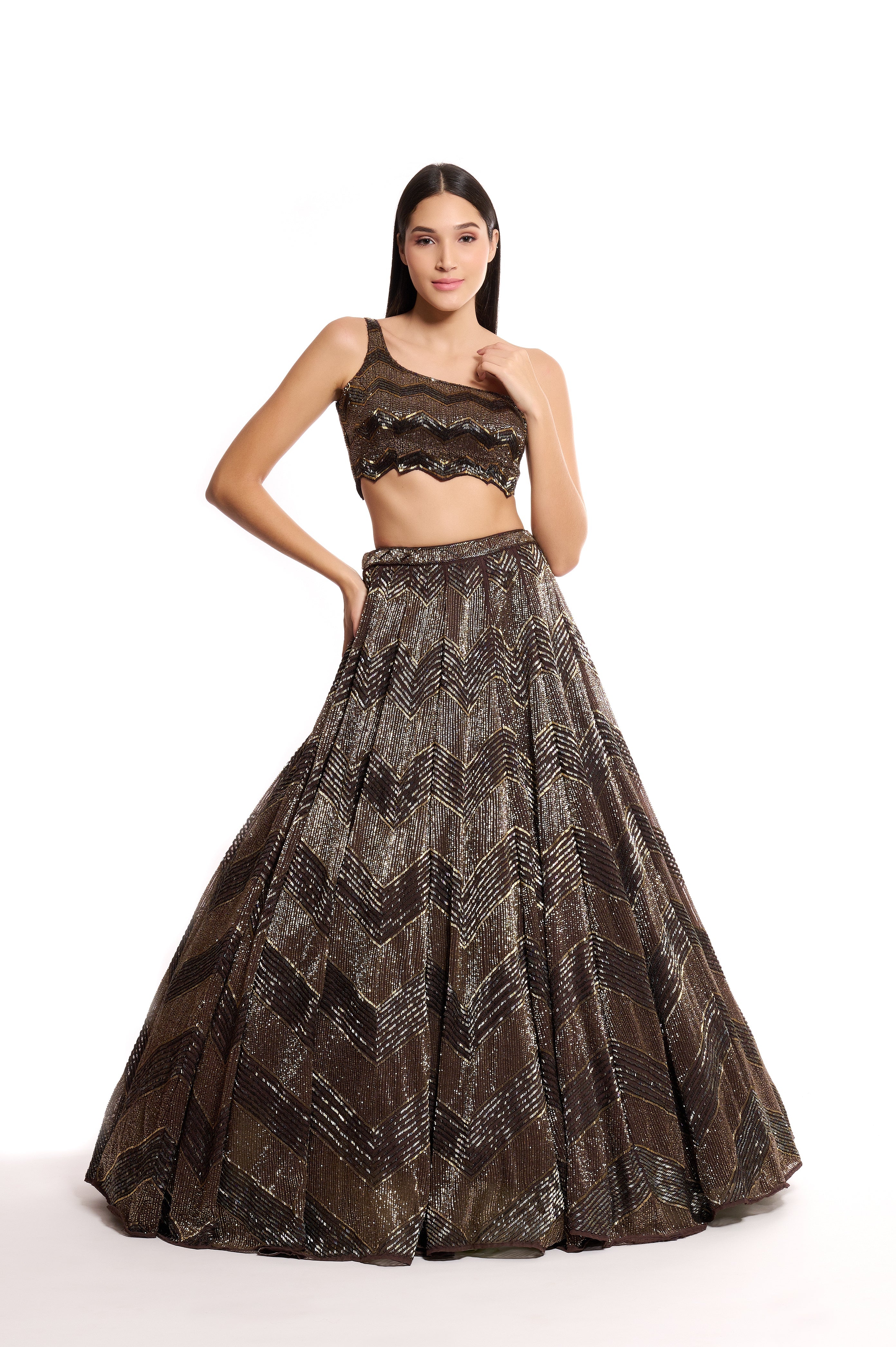 Black & Gold Hand Embroidered Organza After Hours Lehenga
