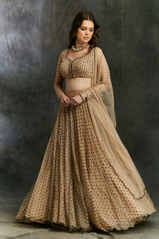 Beige And Black Polka Dotted Lehenga