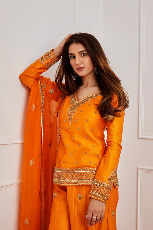 Aabroo Sharara Set