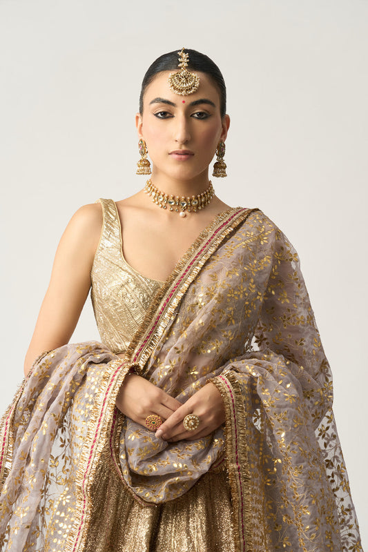 Shabnam Dupatta Chandi Lehenga Set