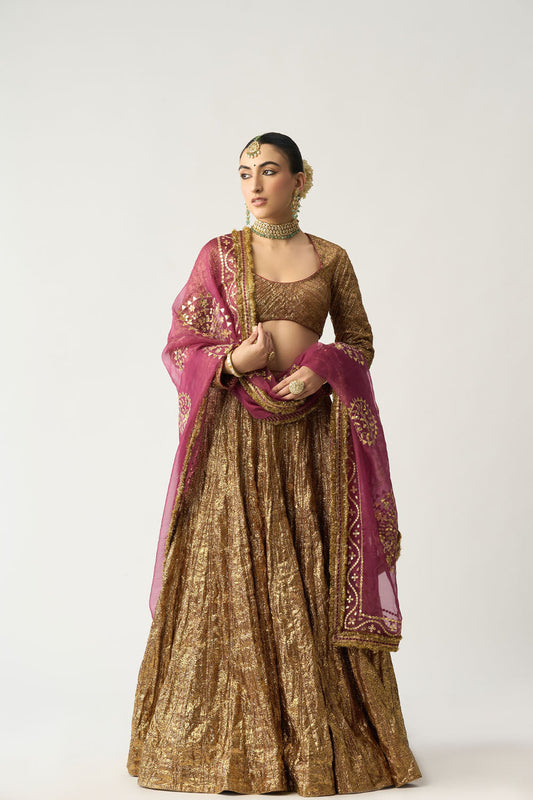 Ira Mehroon Lehenga Set