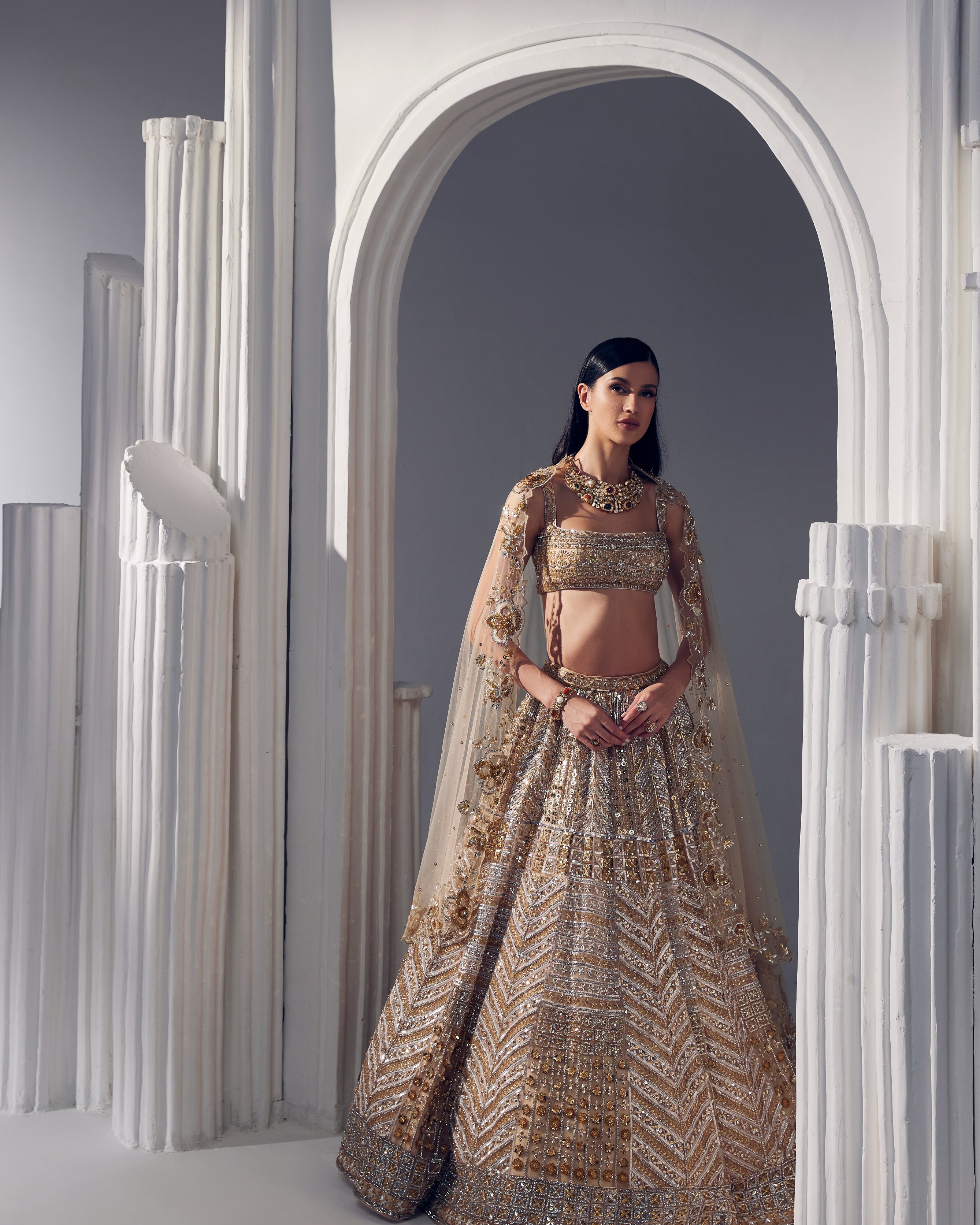 Light Gold Net Silk Embroidered Lehenga Set