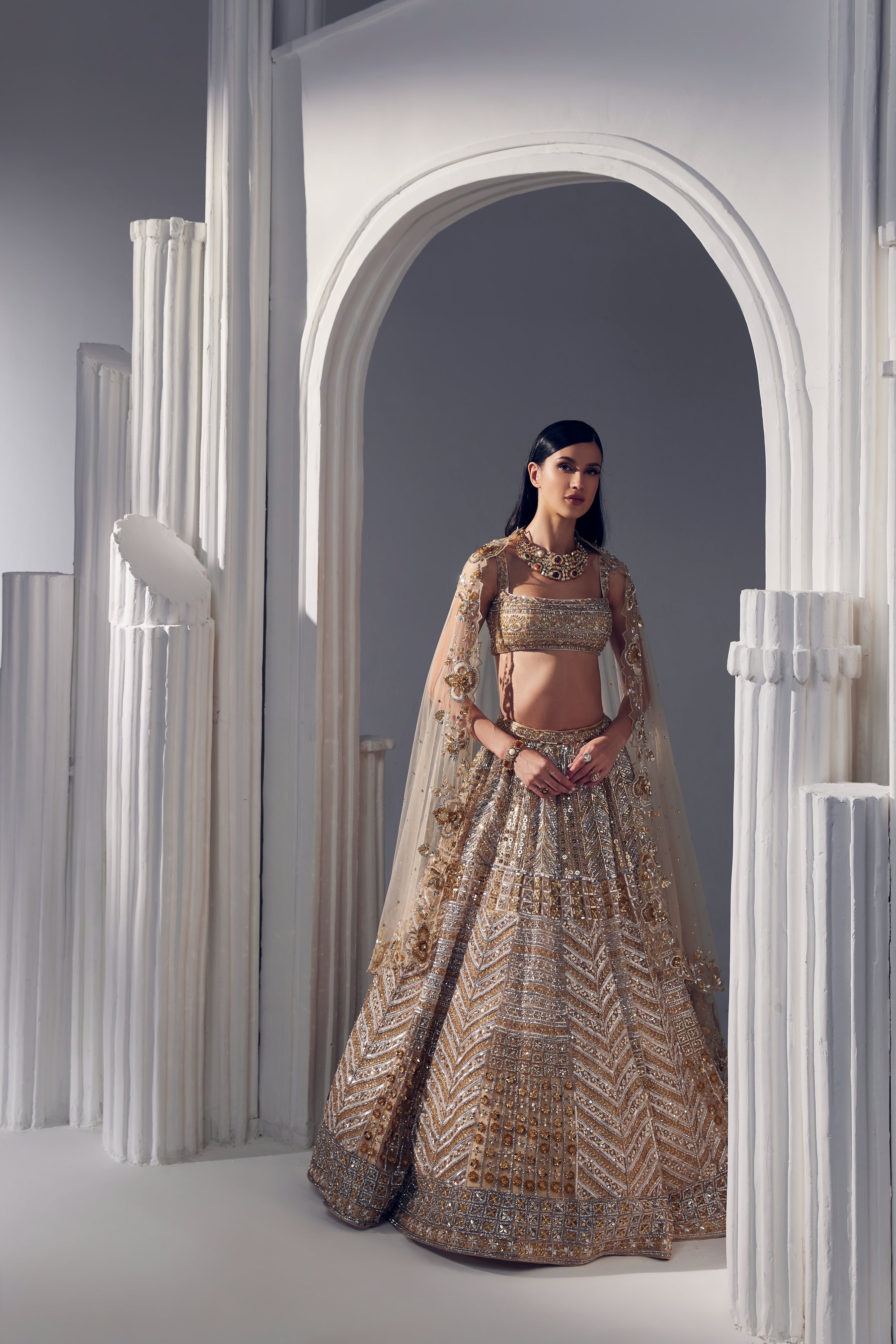Light Gold Net Silk Embroidered Lehenga Set