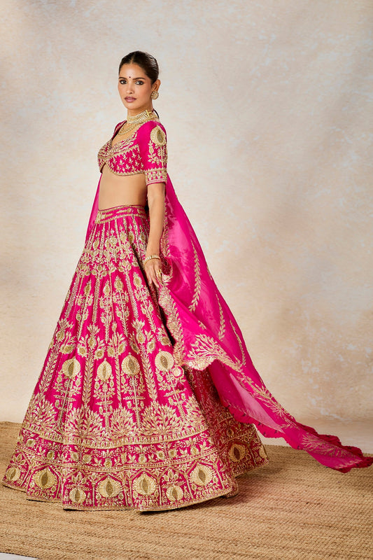 Dilli 6 Lehenga Set
