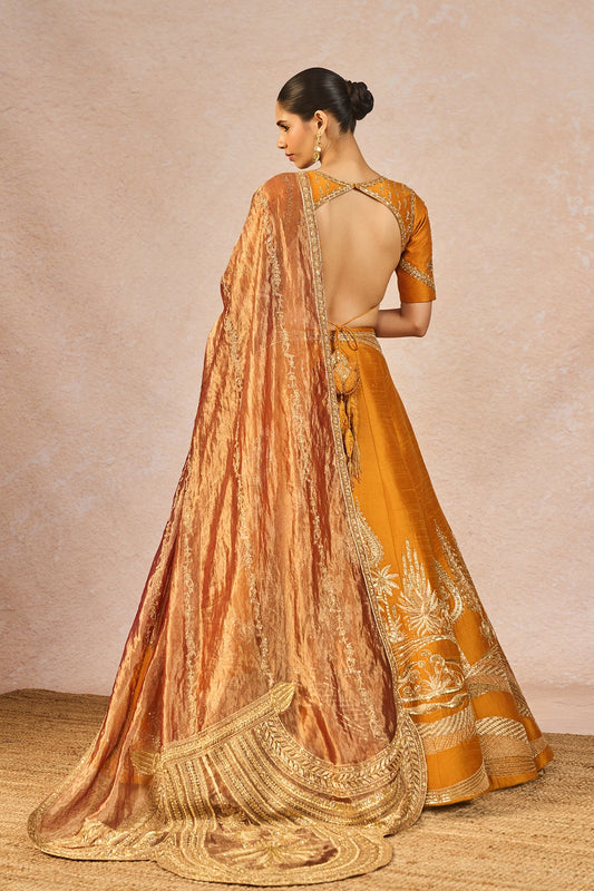 The 'Dil Lubhata' Lehenga