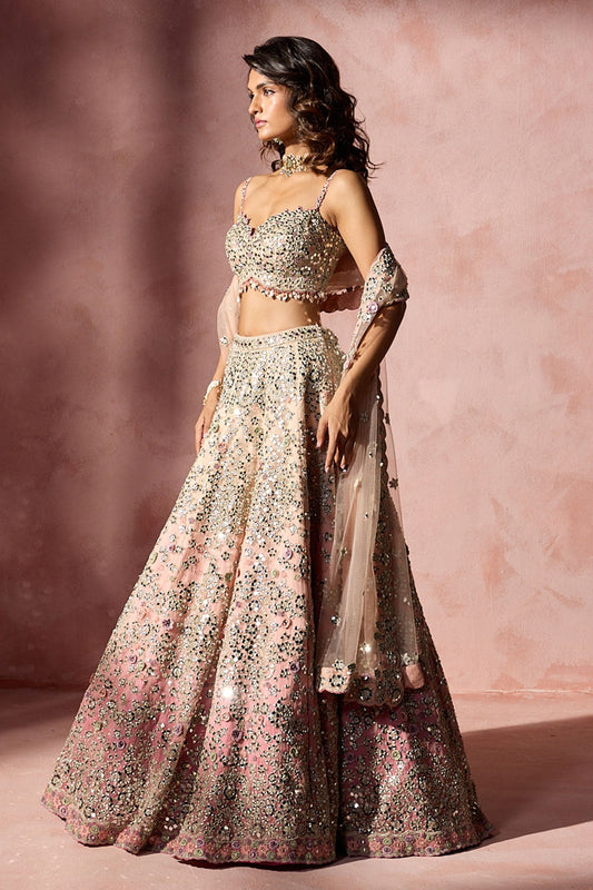 Rose Pink Ombrey Mirror Work Lehenga Set