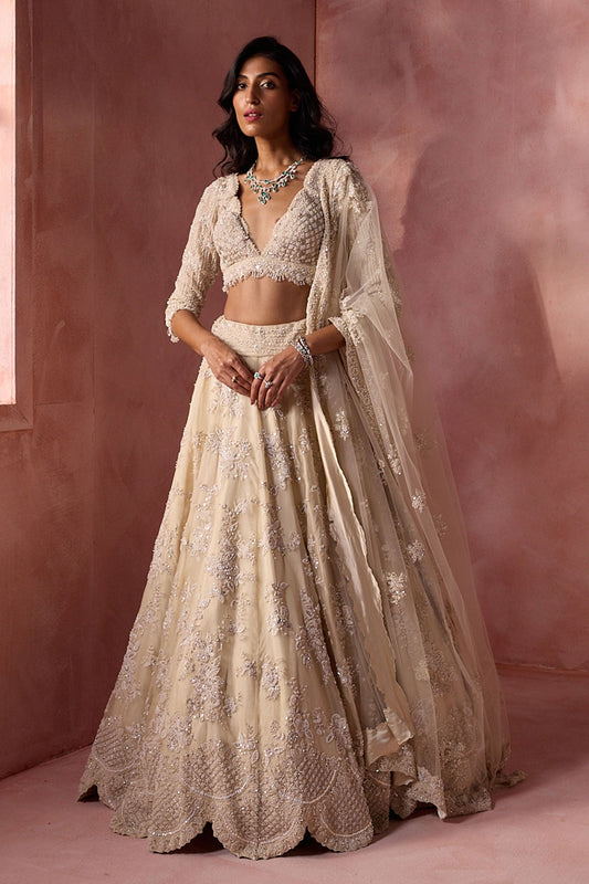 Ivory Organza Lehenga Set