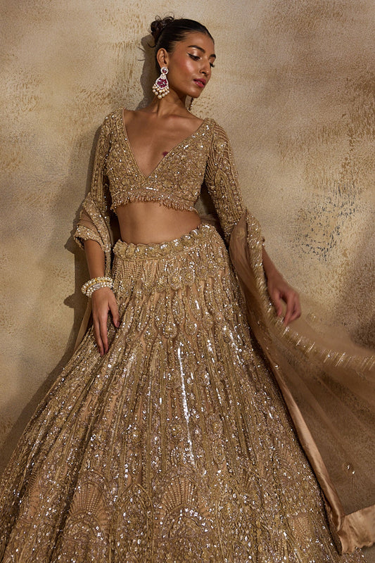 Champagne Gold Lehenga Choli Dupatta