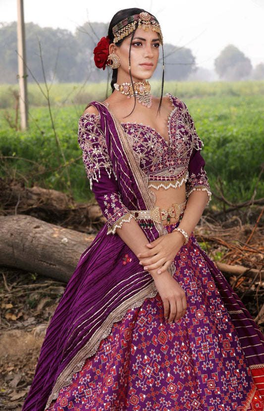 Red & Purple Banarasi Embroidered Lehenga