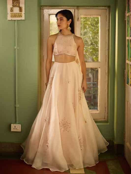 Frosted Blush Pink Organza Lehenga Set