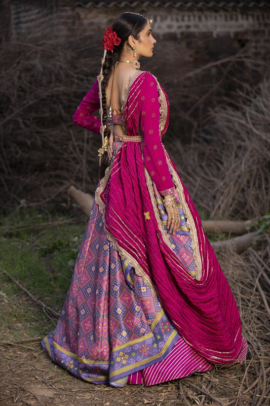 Women's Hot Pink Printed Patola Lehenga
