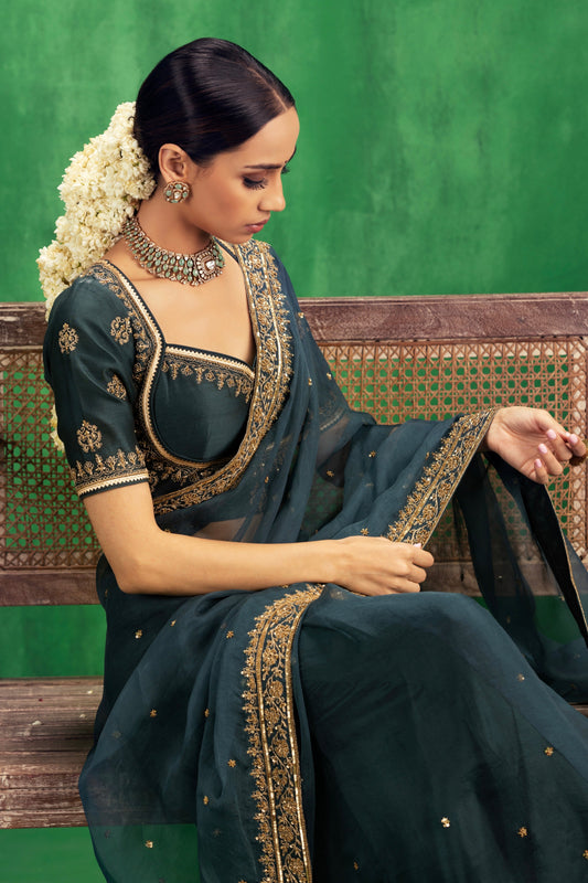 Raveena Tandon in Gehna Saree