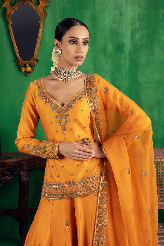 Ragini Sharara Set