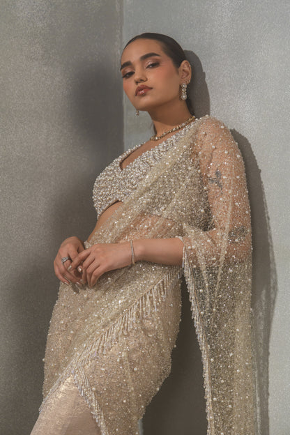 Heavy Jaal Embroidred Palla with Pearl Blouse