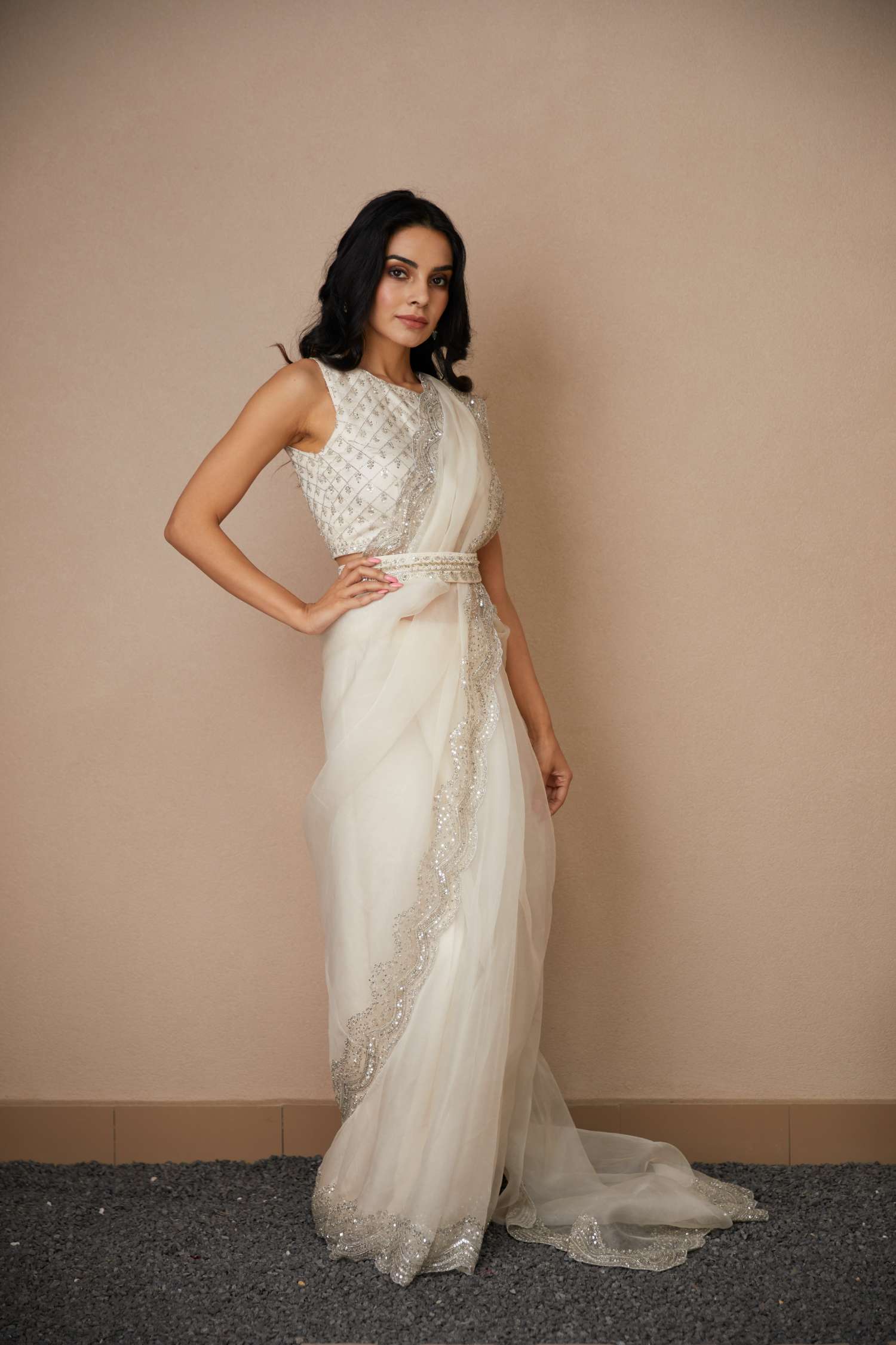 White Organza Sequence Work Saree Set