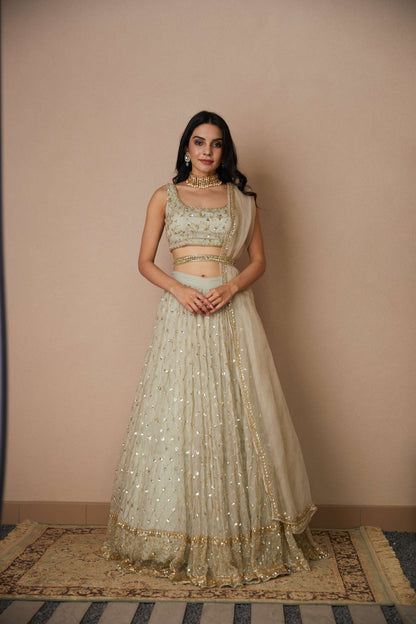 Light Grey Organza Lehenga Set