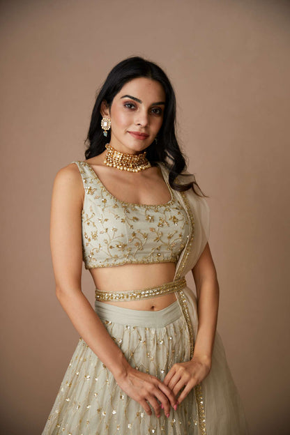 Light Grey Organza Lehenga Set