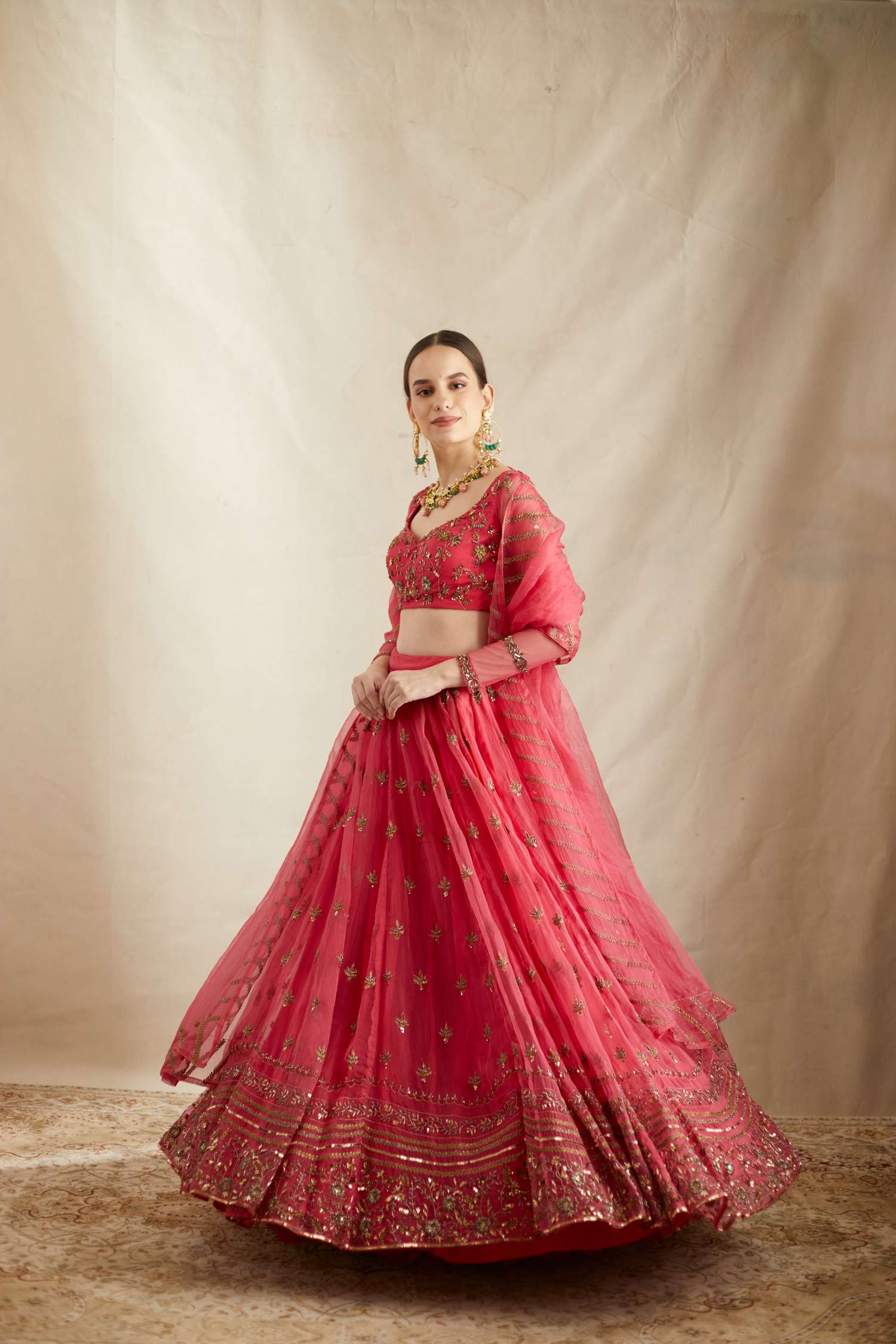 Front Side view of Carmine Pink Silk Organza Crepe Embroidered Lehenga