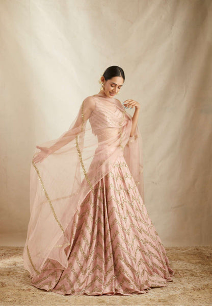 Blush Pink Raw Silk Zig Zag Work Lehenga Set