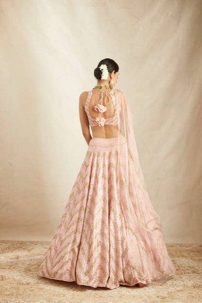 Blush Pink Raw Silk Zig Zag Work Lehenga Set