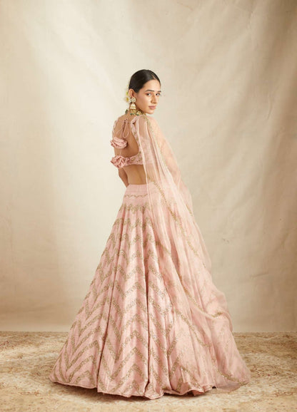 Blush Pink Raw Silk Zig Zag Work Lehenga Set