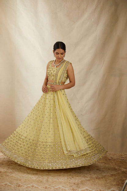 Yellow Net Crepe Embroidered Lehenga Set