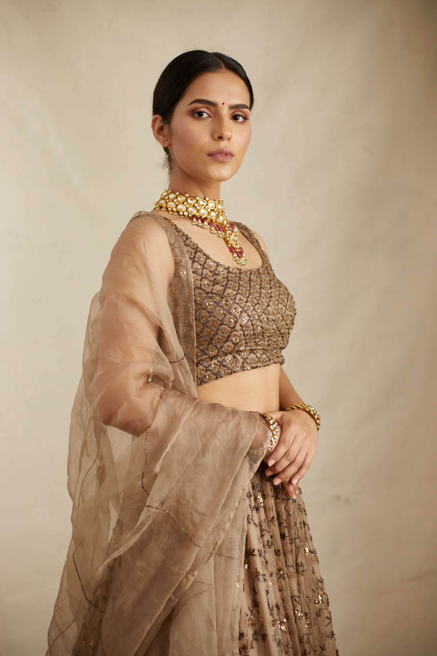 Front view of Brown Jaal Work Organza Lehenga Set