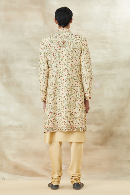 PAISLEY SHERWANI