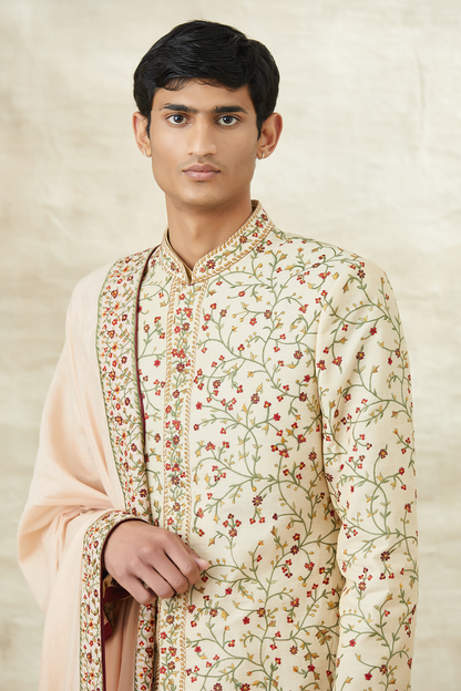 PAISLEY SHERWANI