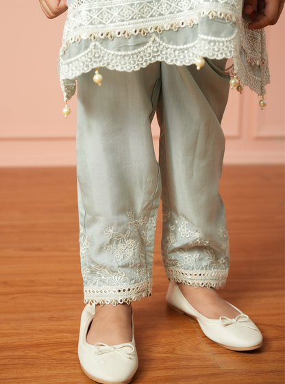 Eirlys Organza Light Blue Kurta Set