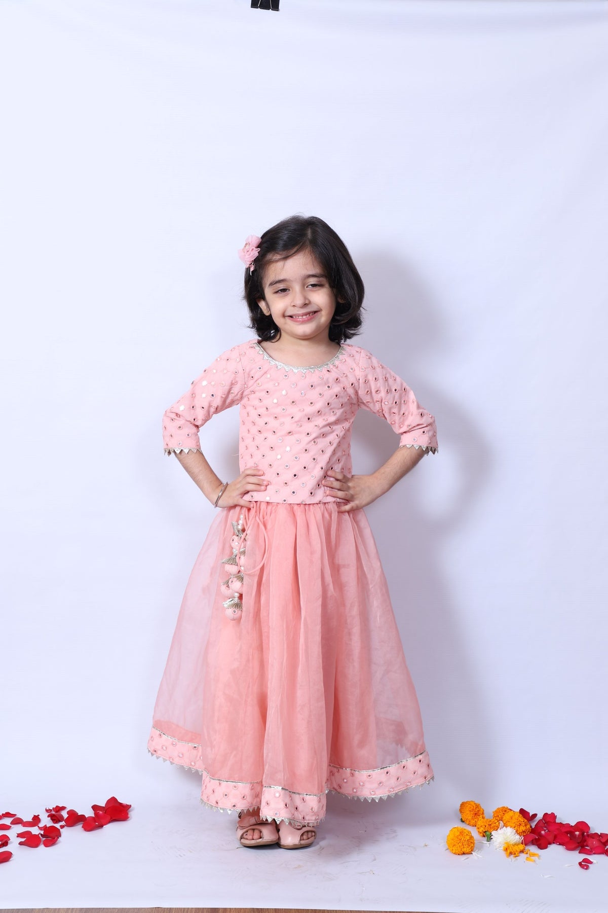 Pink Georgette, Organza, Crepe Mirrors Work Hem Lehenga