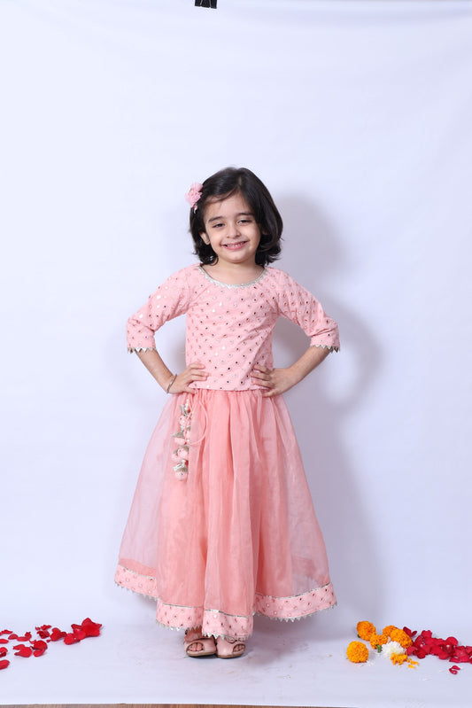 Pink Georgette, Organza, Crepe Mirrors Work Hem Lehenga