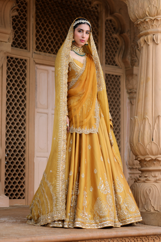 Antara Lehenga Set