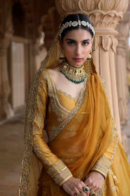 Antara Lehenga Set