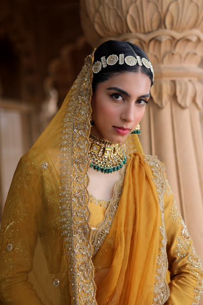 Antara Lehenga Set
