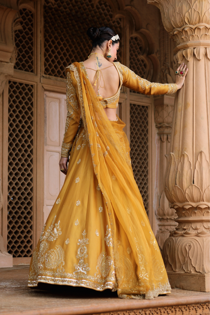 Antara Lehenga Set