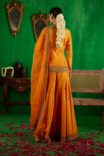 Ragini Sharara Set