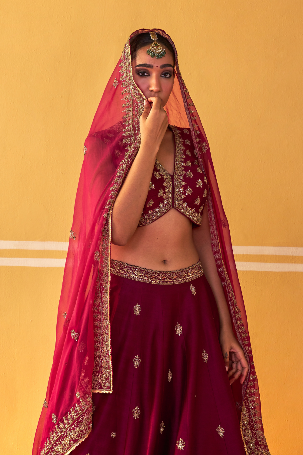 Bindu Lehenga Set