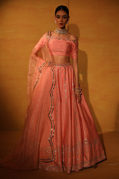 Blush Pink embroidered Lehenga set
