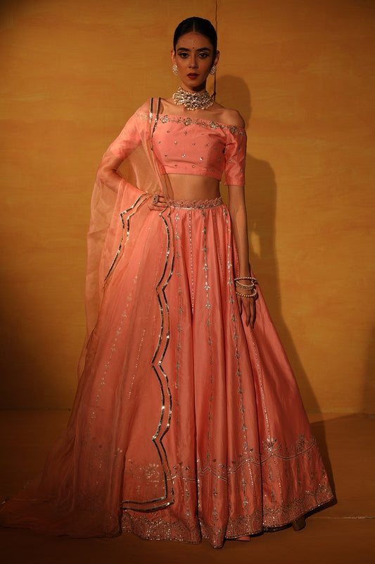 Blush Pink embroidered Lehenga set