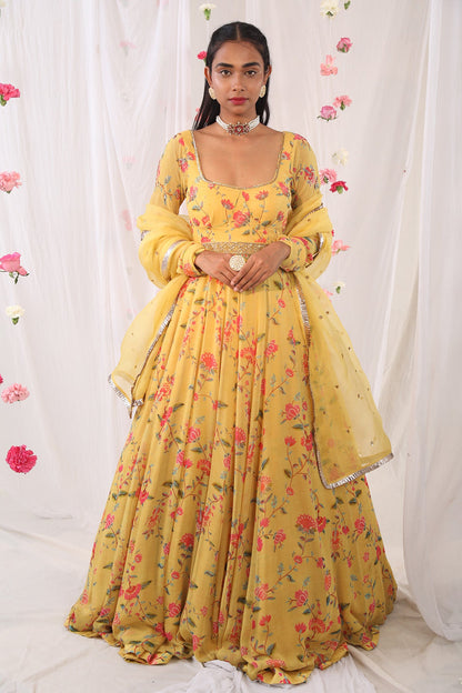 Musturd Corset Anarkali