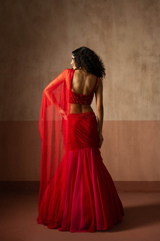 Fishtail Style, Red & Fuschia Pink Coloured,  Hand Embroidered, Net & Georgette Fishtail Saree, Concept Saree