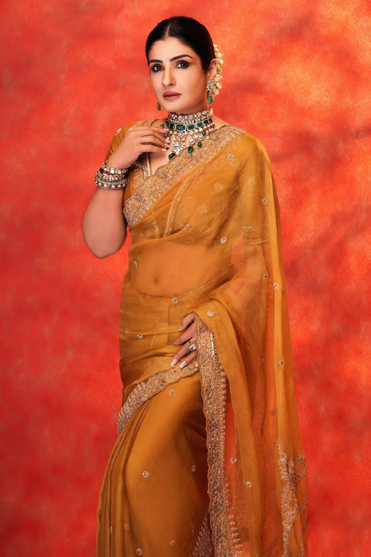 Raveena Tandon in Zara Saree