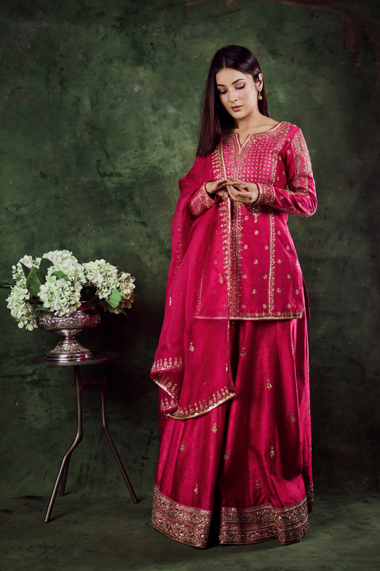 Shehnaaz Gill in Aiza Sharara Set