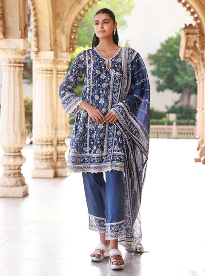 Anmika Organza Navy Kurta Set